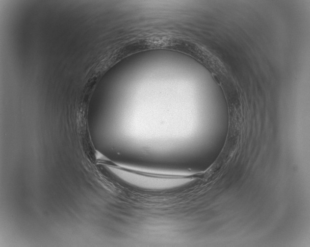 X0000072520601200608111722