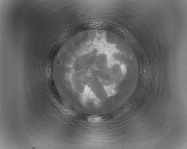 X0000072520602200608111722