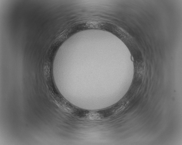 X0000072520603200608111722