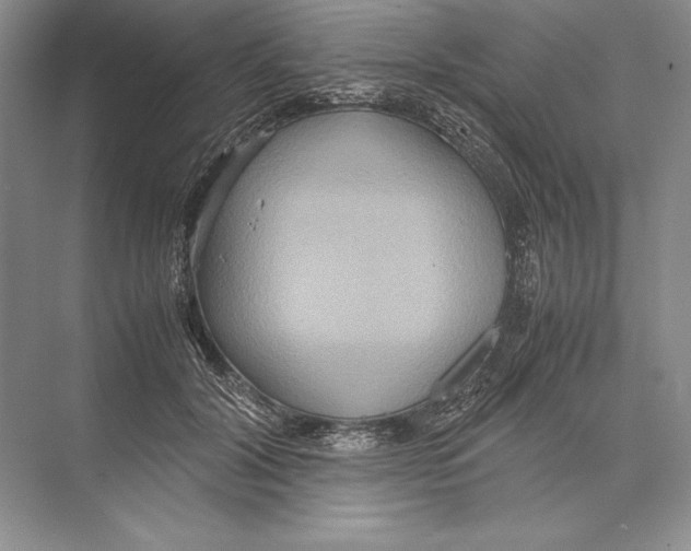 X0000072520604200608111722