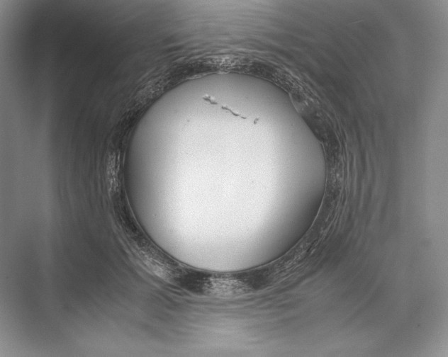 X0000072520605200608111722