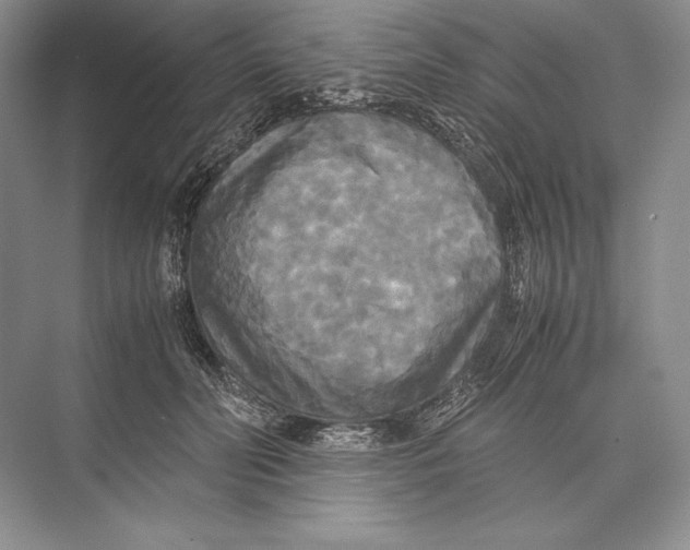 X0000072520606200608111722