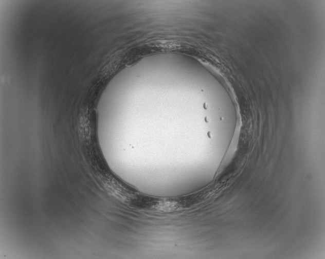 X0000072520609200608111722