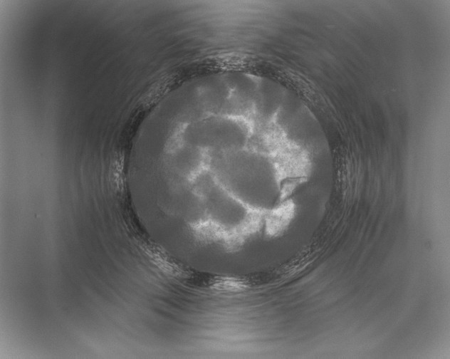 X0000072520610200608111722