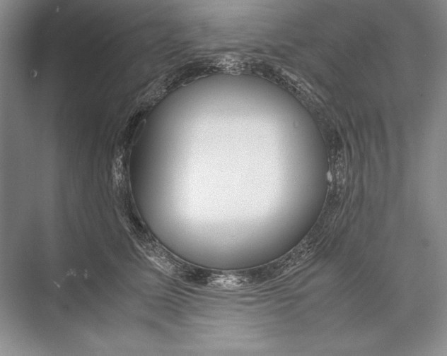 X0000072520611200608111722