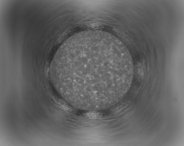 X0000072520615200608111722