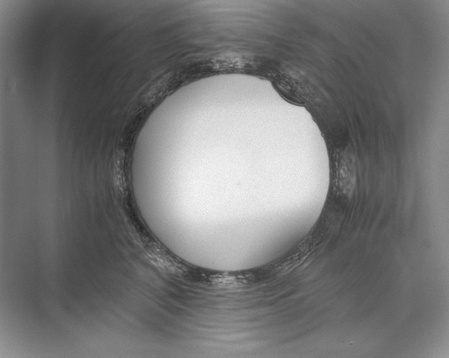 X0000072520616200608111722