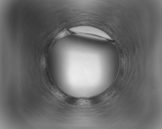 X0000072520617200608111722