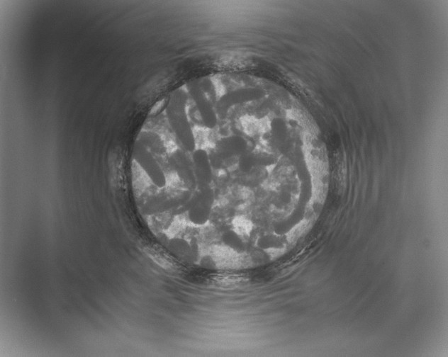 X0000072520619200608111722