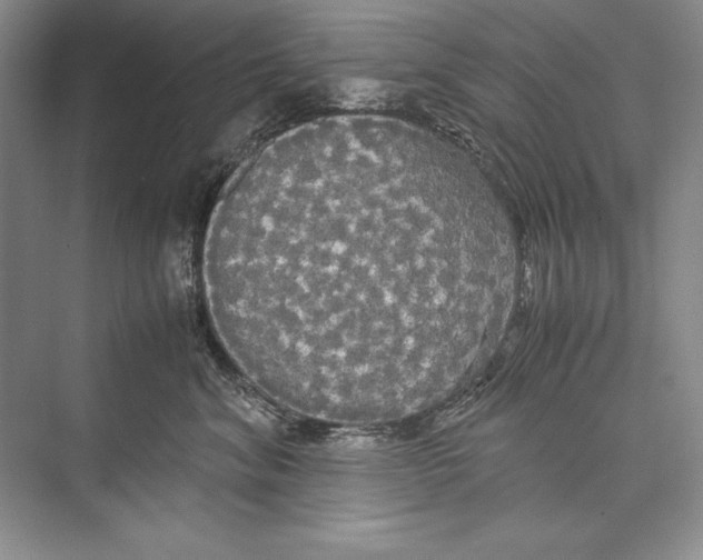 X0000072520620200608111722