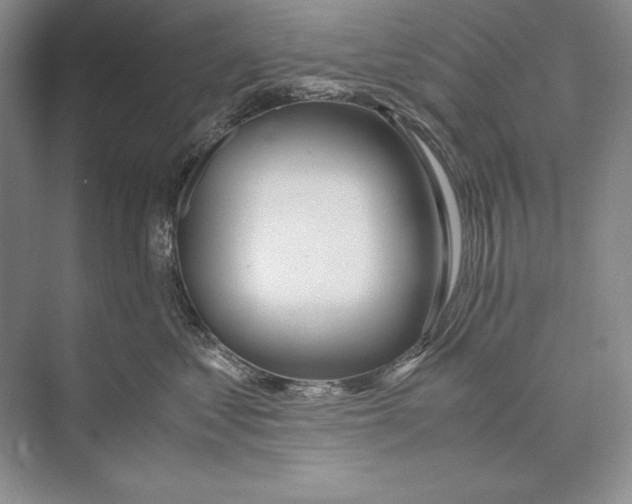 X0000072520621200608111722