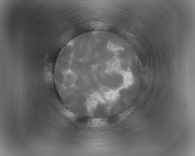 X0000072520622200608111722