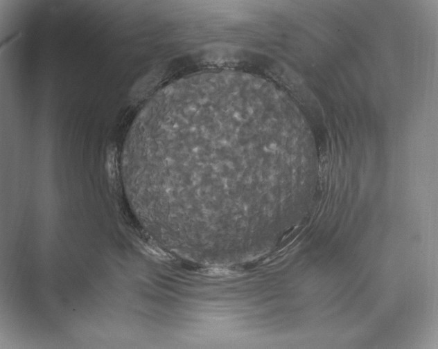 X0000072520623200608111722