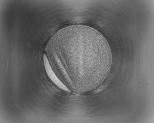 X0000072520624200608111722