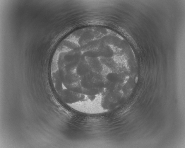 X0000072520625200608111721