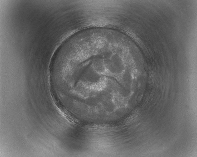 X0000072520626200608111721