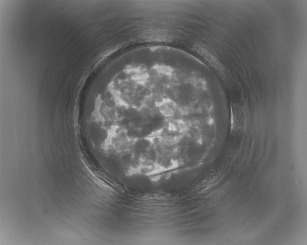 X0000072520627200608111721