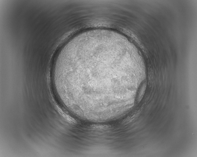 X0000072520629200608111721