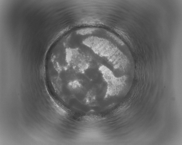 X0000072520630200608111721