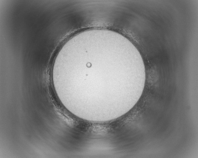 X0000072520632200608111721