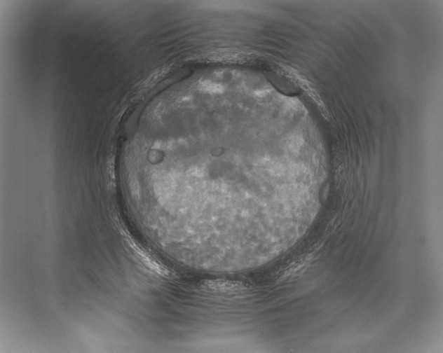 X0000072520633200608111721