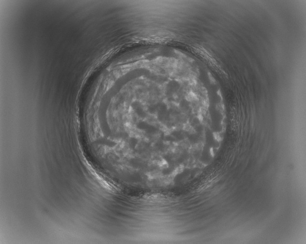 X0000072520634200608111721