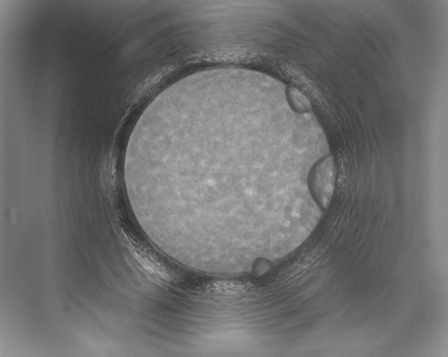 X0000072520636200608111721