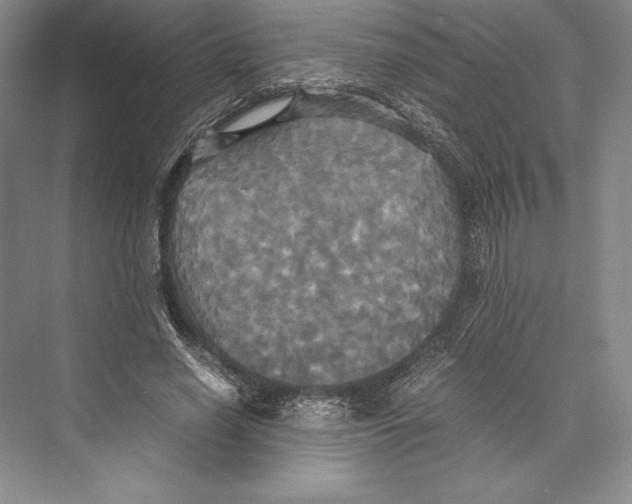 X0000072520638200608111721