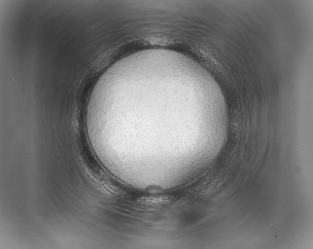 X0000072520639200608111721