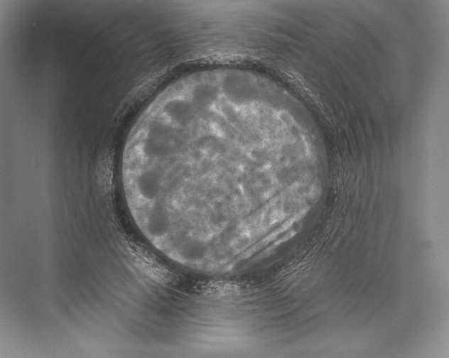 X0000072520640200608111721