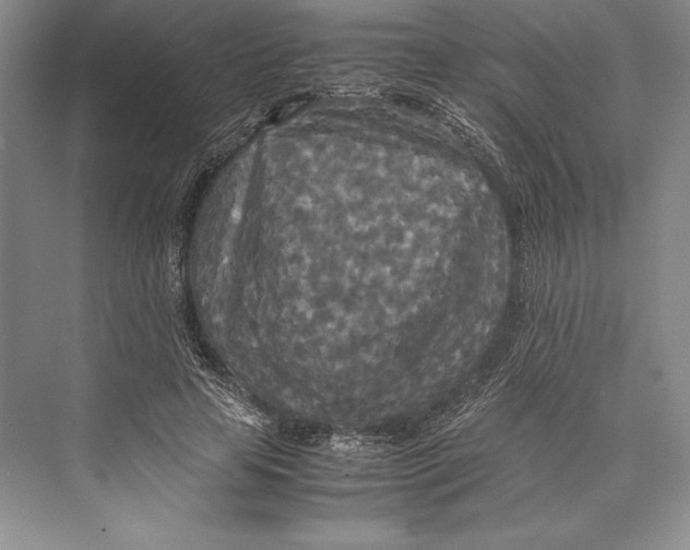 X0000072520641200608111721