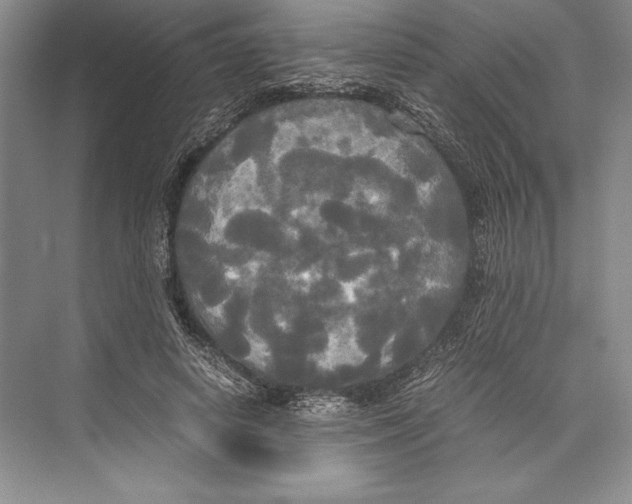 X0000072520642200608111721