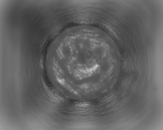 X0000072520643200608111721