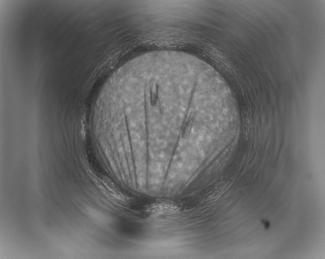 X0000072520644200608111721