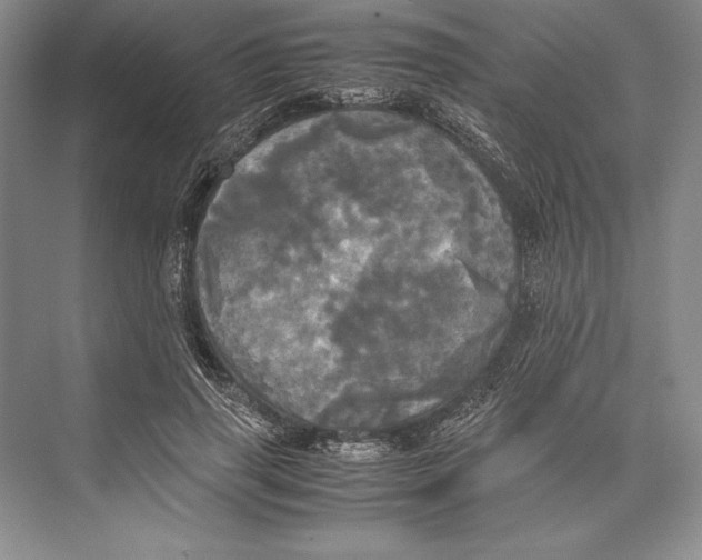 X0000072520645200608111721