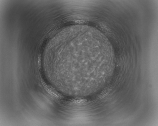 X0000072520646200608111721