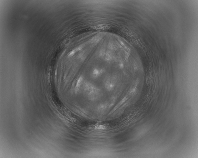 X0000072520647200608111721