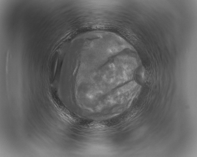 X0000072520648200608111721