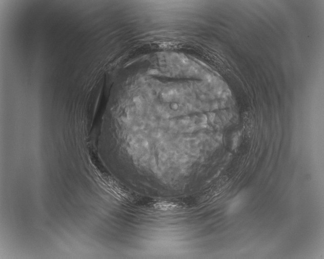 X0000072520650200608111721