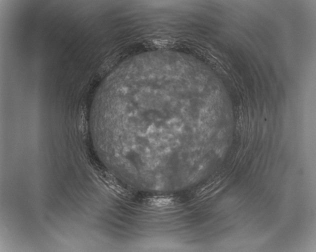 X0000072520651200608111721