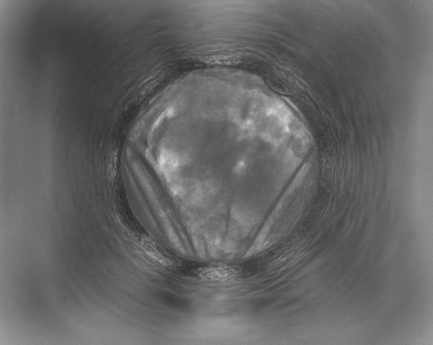 X0000072520652200608111721