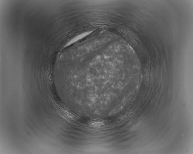 X0000072520653200608111721