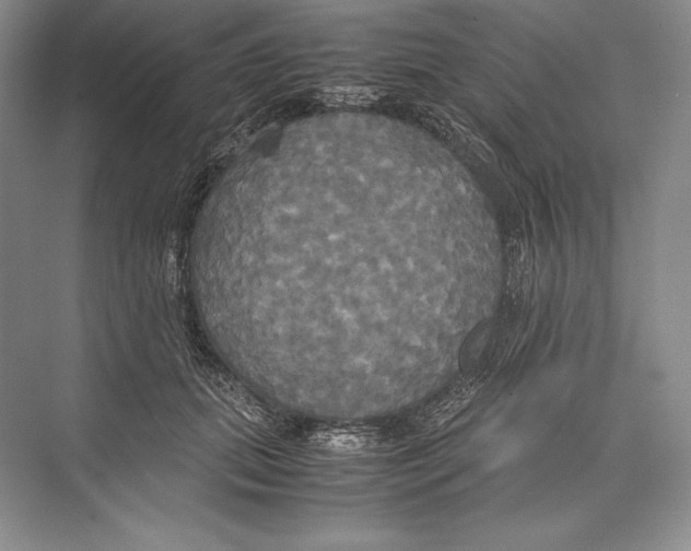 X0000072520655200608111721