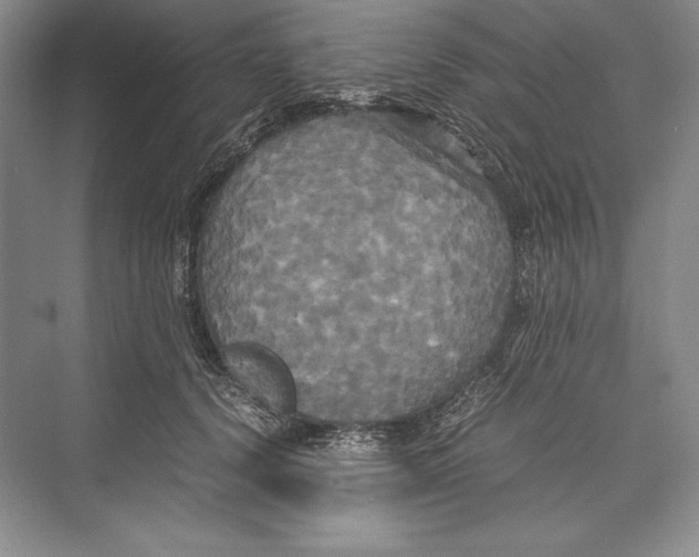 X0000072520656200608111721