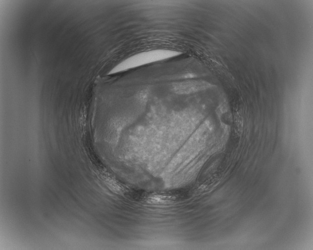 X0000072520657200608111721