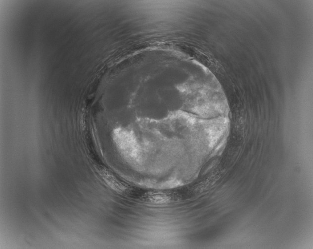 X0000072520658200608111721