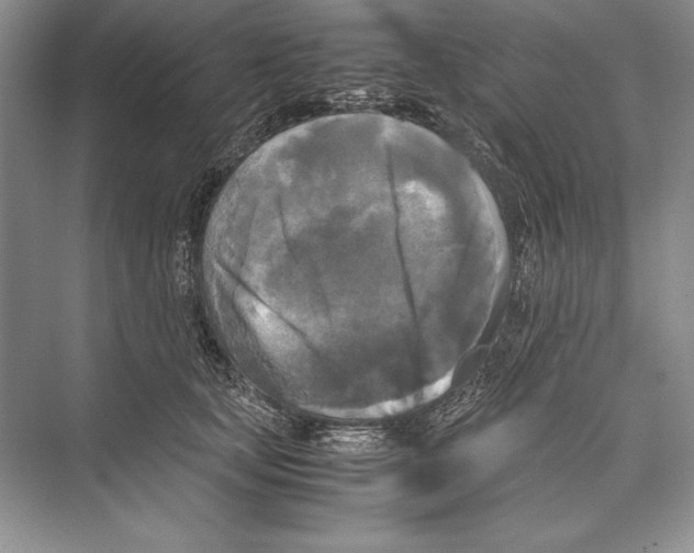 X0000072520659200608111721