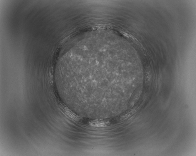 X0000072520661200608111721