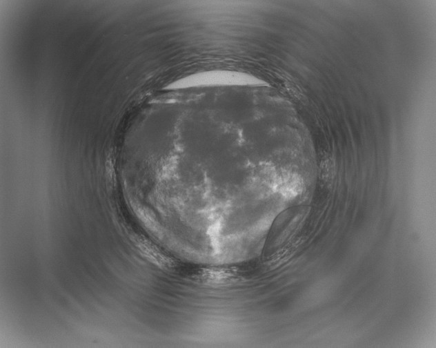 X0000072520662200608111721