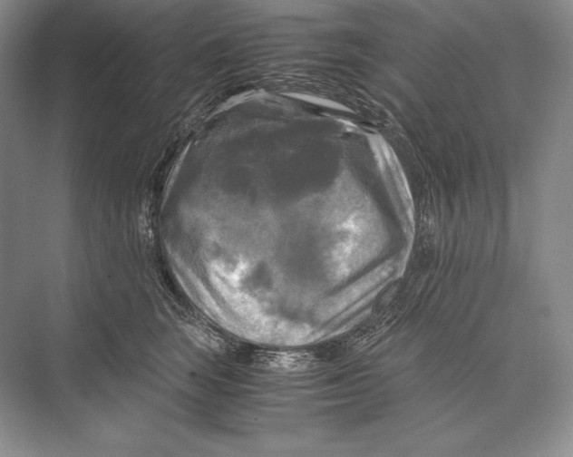 X0000072520663200608111721